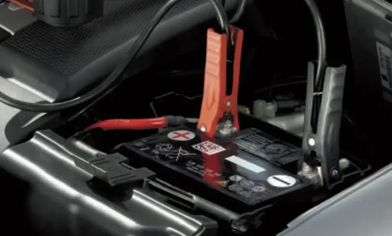 Pamukkale Akü Takviye